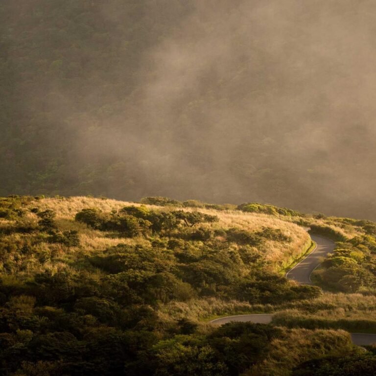 Generic Handbag – Gray