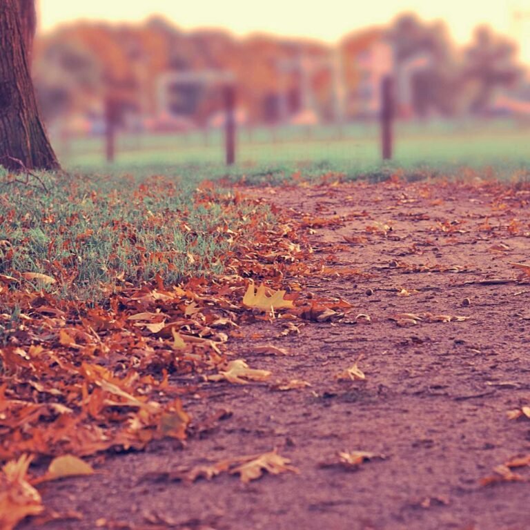 Dell Inspiron 14 – 16 GB RAM / 1 TB SSD