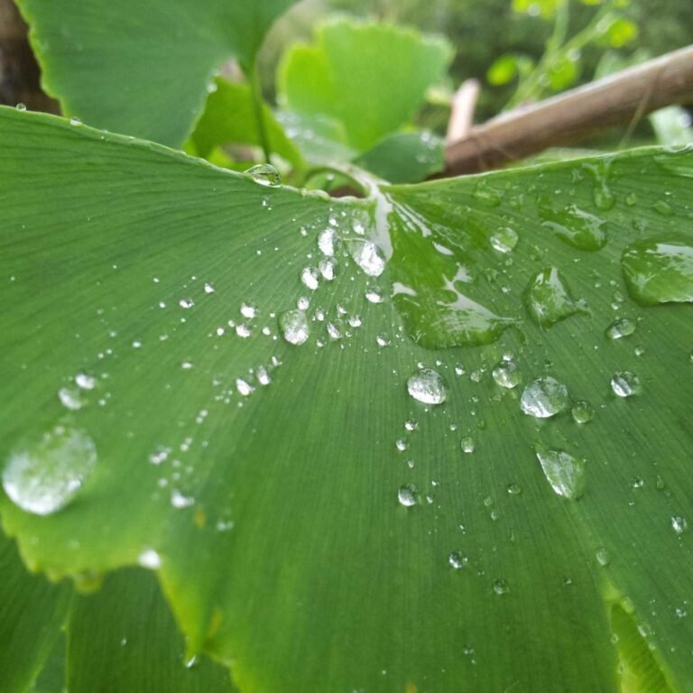 Acer Pavilion 15 – 16 GB RAM / 512 GB SSD