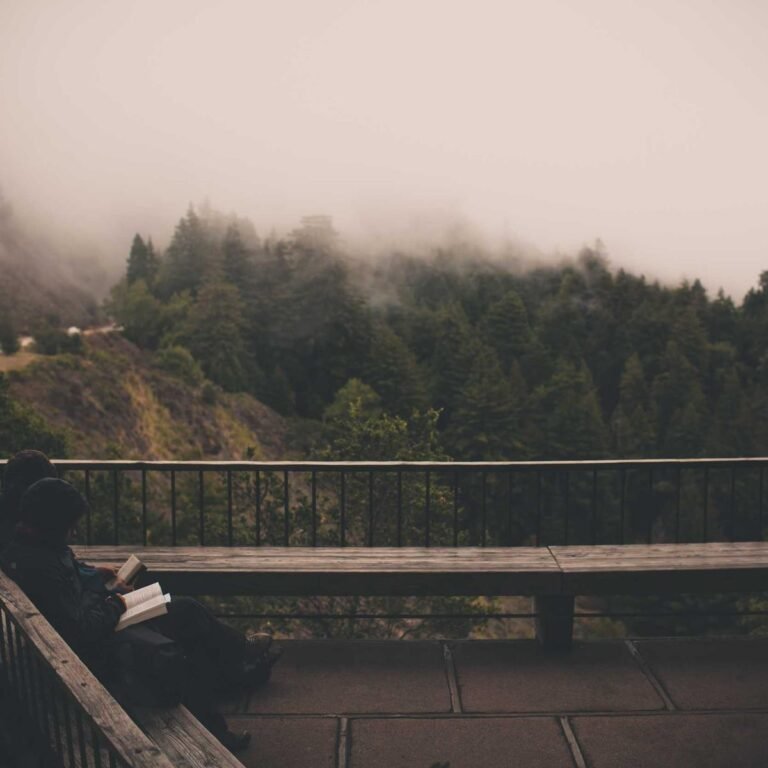 TP-Link Wi‑Fi Router