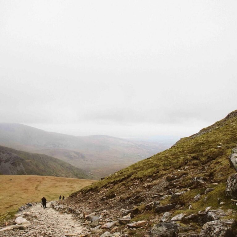 Acer Inspiron 14 – 32 GB RAM / 256 GB SSD